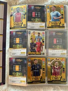 Fotbalove karticky fifa