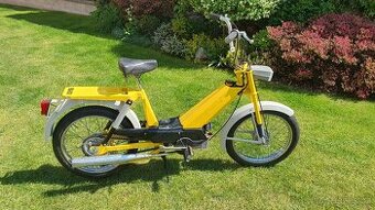 Babetta 207