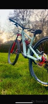 Specialized status 160