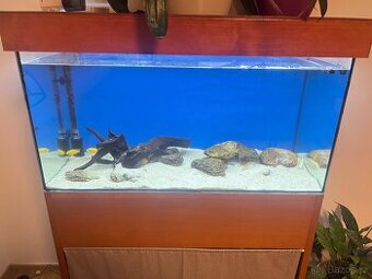 Kompletní akvarijní set – 250 l (stěhuji se)