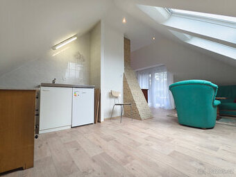 Pronájem 1+kk, 45m2 (balk+park) (Janův Důl, ul. U Plovárny)