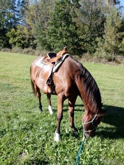 Westernové sedlo Westman Nepustil