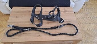 Kožený nastavitelný postroj + vodítko 2m