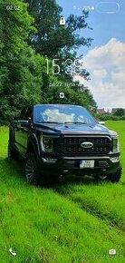 Ford F150 Platinum 2021 - 1