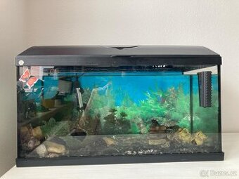 Akvarium 60x30x30