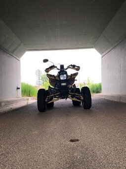 Bashan 250 - 1