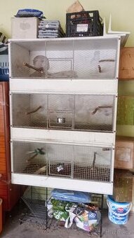 Kakariky