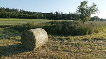 Letošní nezmoklé voňavé seno 2025