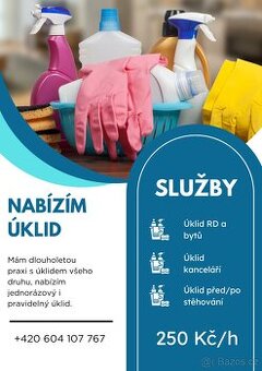 Nabízím úklid
