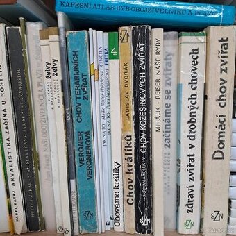 Akvaristika, Teraristika, králíci, domácí zvířata, ryby