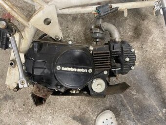❗️Koupím rozbitý motor na PitBike❗️
