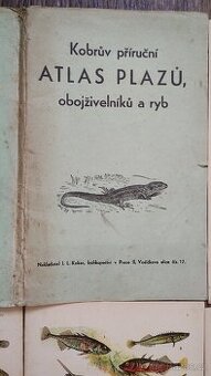 Atlas korbův plazů