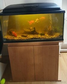 Akvarijni set vc. prisl., rybicek a skrinky pod akvarium
