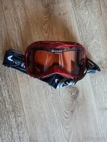Juniorské lyžařské brýle Alpina - 1