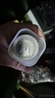 Mince investiční stříbro 1oz - 31.11g