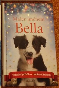 Malér jménem Bella - Ali Standishová