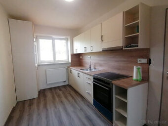 Pronájem, byt 2+1, Zábřeh