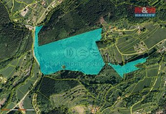 Prodej lesa, 44159 m², Vsetín