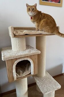 Kočičí strom - škrabadlo