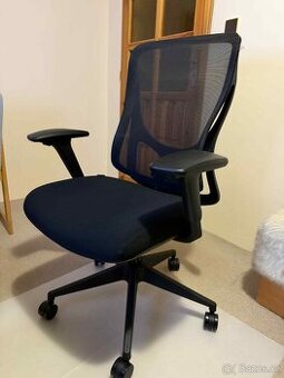 Kancelářská židle AlzaErgo Chair Oasis 1