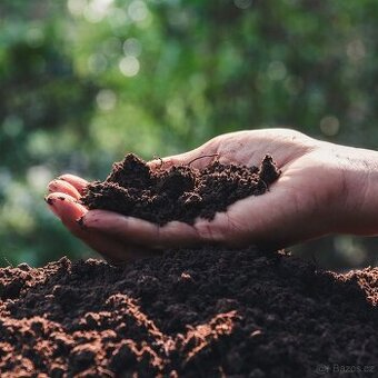 Zemina / hlína za odvoz