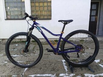 Specialized Jett 29' (vel. 17'')