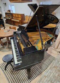 Klavirni křidlo,klavír - 1