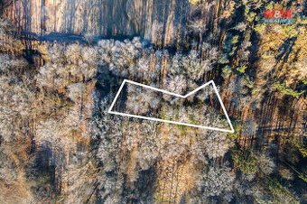 Prodej lesa, 685 m², Horšovský Týn