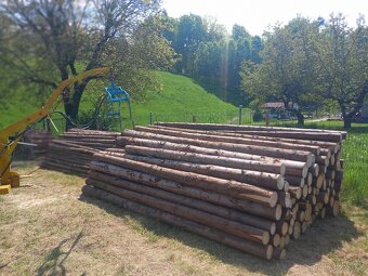 Dřevo kulatina smrk - 1