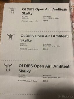 Koncert holki