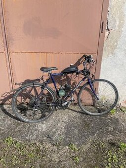 Motokolo 80cc