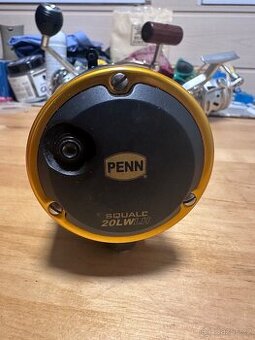 Multiplikátor na sumce , nebo moře Penn - 1
