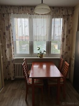 Dlouhodobý pronájem 1+1 Karlovy Vary