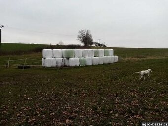 Fermentované seno