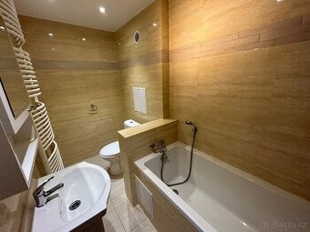 Pronájem bytů na Meziboří