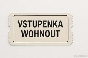 Wohnout koncert Liberec