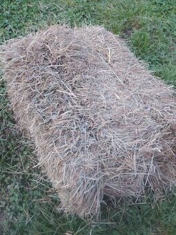 prodej sena - malé hranaté balíky