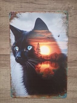 Plechová cedule 20x30cm