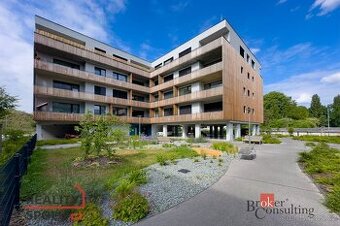 Pronájem, byty/1+kk, 35 m2, Kartónová 2844/10, Východní Před