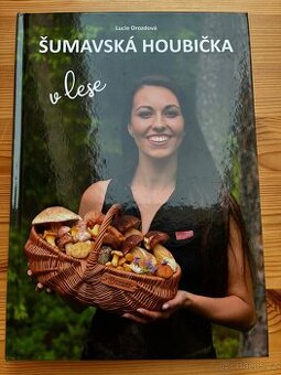 Šumavská houbička v lese - nová - 1