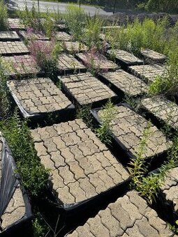 prodám použitou zámkovou dlažbu cca 550m2 - 80mm