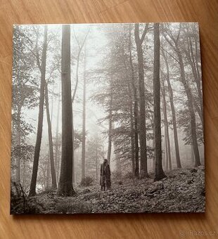 2LP TAYLOR SWIFT Folklore DLX