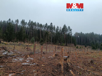 Prodej lesa, 37567 m², Vacovice - 1