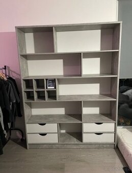 Knihovna/ regál/ oddělovací stěna