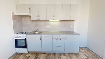 Podnájem bytu 2+1 58 m2, ul. Generála Píky 2903/20, Moravská