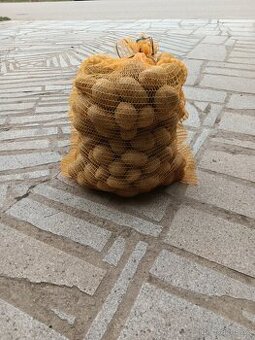 Prodam konzumní a sadbove brambory