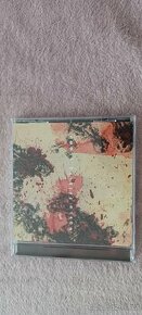 CD Slayer  - World Painted Blood - nové