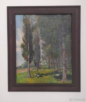 Petr Jaroš - Partie z Hradce - obraz