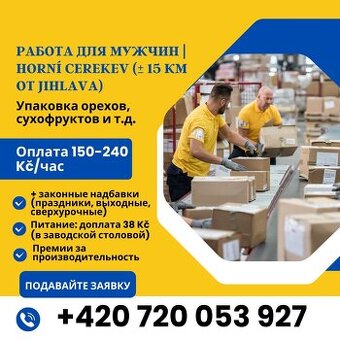 Робота в Чехії