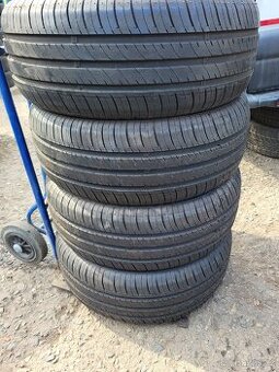 225 60 15" 96V...Nankang Econex